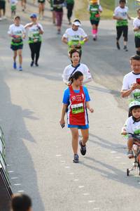 BIB: 
                            <button type="button" onclick="openModal(3553542)" class="btn btn-primary btn-sm float-right btn-popup" data-toggle="modal" data-target=".modal-high-quality">
                        <i class="fas fa-shopping-cart"></i> Add to Cart
                    </button>
                                            <button type="button" onclick="isThisMe(3553542, true)" class="btn btn-success btn-sm float-right btn-popup btn-isme hidden" data-toggle="tooltip" data-placement="bottom" title="นี่คือรูปของคุณใช่ไหม คลิกที่นี่เพื่อเอาเข้าอัลบั้ม">
                        <i class="fas fa-plus"></i> Add to album
                    </button>
                    <button type="button" onclick="isThisMe(3553542, false)" class="btn btn-warning btn-sm float-right btn-popup btn-isnotme hidden">
                        <i class="fas fa-ban"></i> Remove from album
                    </button>